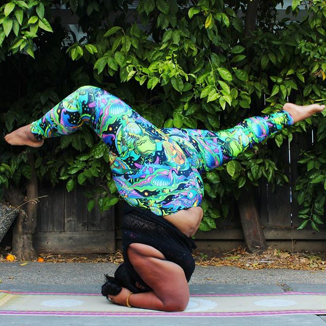 11821826_1658887611019506_120779889_n