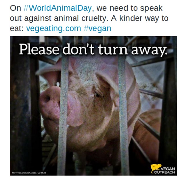 screenshot-twitter.com 2015-10-04 13-32-30