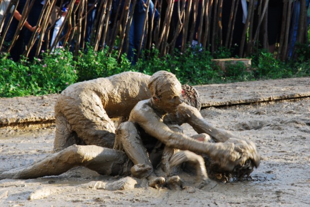 3764160746_bd0314d221_b