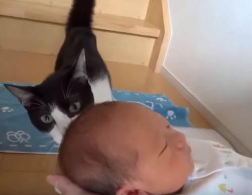 screenshot-www.youtube.com 2015-11-06 08-48-33