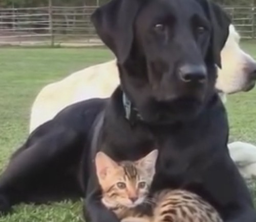 screenshot-www.facebook.com 2015-11-23 07-57-56