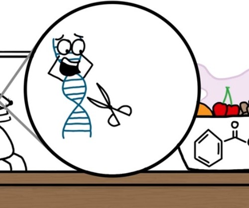 screenshot-www.youtube.com 2015-11-30 08-06-57