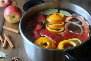 simmering-stovetop-potpourri-fall