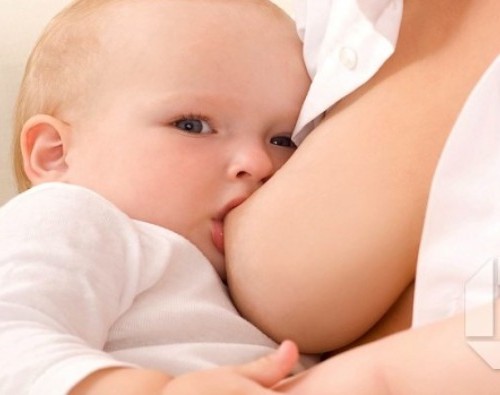 screenshot-www.heilsutorg.is 2015-12-10 09-45-45