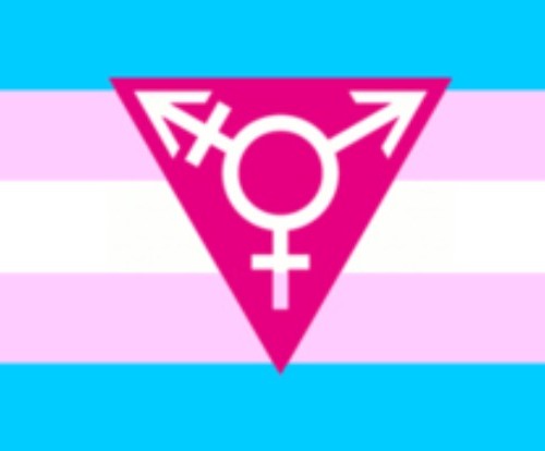 screenshot-transgendersociety.yolasite.com 2015-12-10 08-46-22