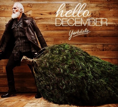 screenshot-www.gramfeed.com 2015-12-12 00-40-23