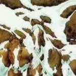 screenshot-www.facebook.com 2016-01-26 13-06-29