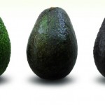 screenshot-grapplergourmet.com 2016-01-07 03-47-33