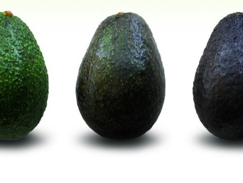 screenshot-grapplergourmet.com 2016-01-07 03-47-33