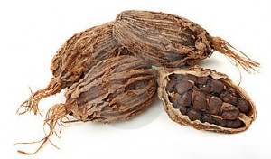 screenshot-thumbs.dreamstime.com 2016-01-27 19-35-22