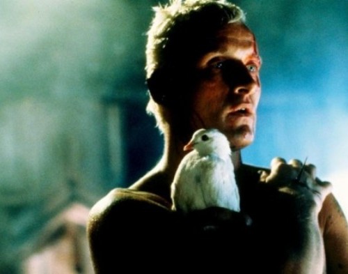 screenshot-www.stuff.co.nz 2016-01-08 01-07-43