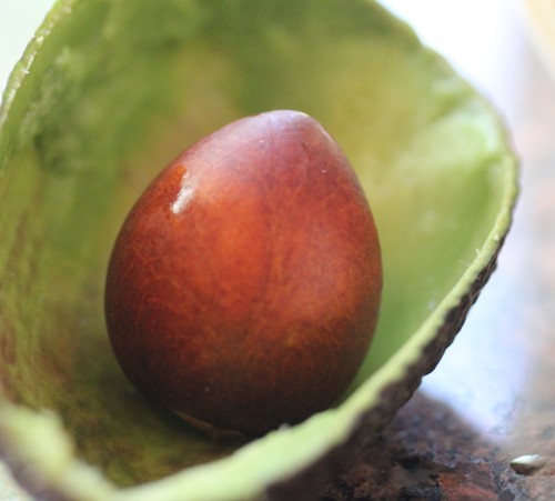 GuacamoleAvacadoPitt