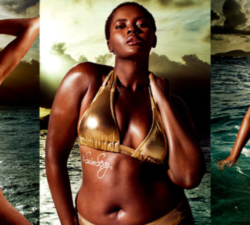 screenshot-www swimsuitsforall com 2016-02-10 17-58-18