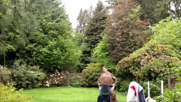 screenshot-www youtube com 2016-02-07 11-00-12