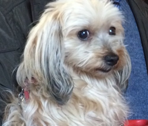 sunna streit forsida