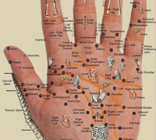 Every+Body+Part+Is+In+The+Palm+Of+Your+Hand+%E2%80%93+Press+The+Points+For+Wherever+You+Have+Pain