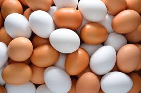 rad egg