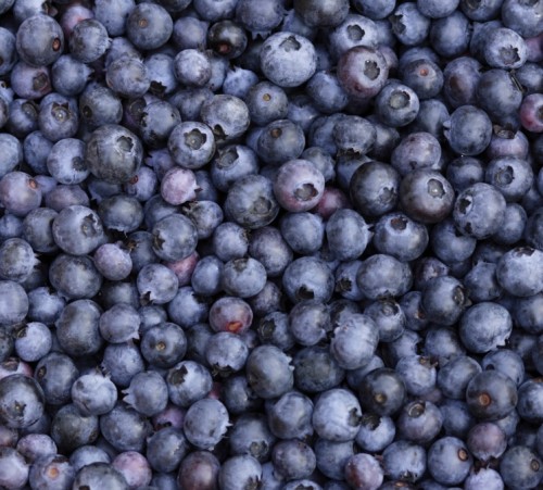 blueberries