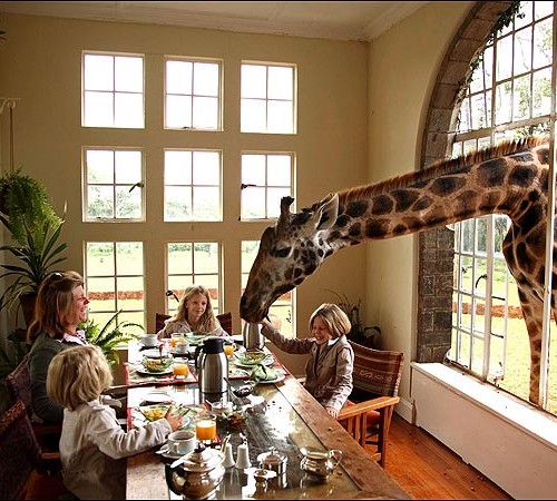 giraffe-manor-nairobi-kenya