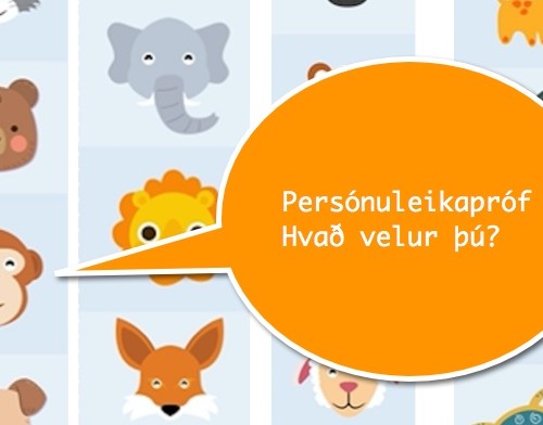 a dyrin öll forsíða