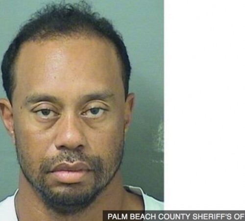 Lögreglan í Palm Beach gaf út þessa mynd eftir handtökuna