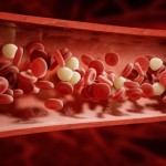 blood