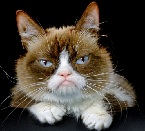 grumpy